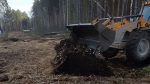 Расчистка участка эскаватором. Участок с лесом