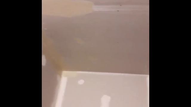 ШПАКЛЕВКА СТЕН ПЕРВЫЙ СЛОЙ БАЗОВОЙ ШПАТЛЕВКОЙ Часть 2-я