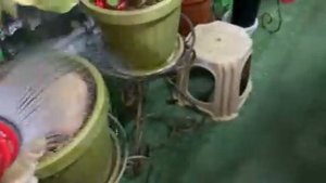 Звуки ночи в " Домике для цитрусов"