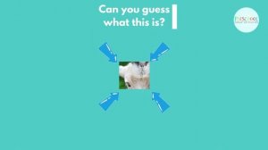 Farm Animals Guessing Game - Farm Animal Guessing Game | Educational Videos For Toddlers