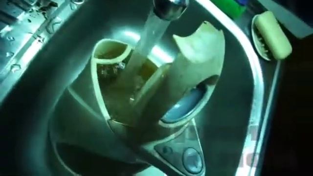 Как проращивать пшеницу