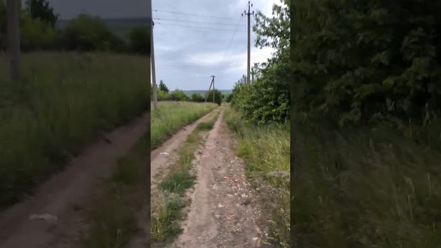 Окрестности, Орловская область, г. Новосиль