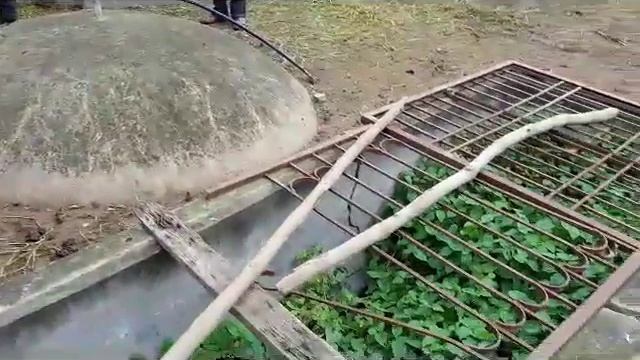 Support in Toilet Construction | SBSI2018 смотреть онлайн