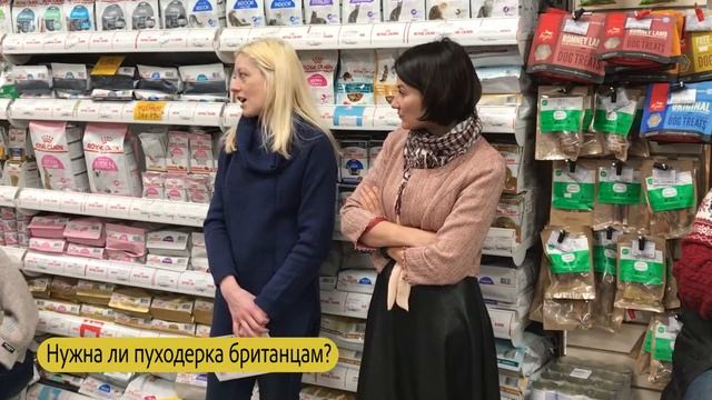 Уход за шерстью британцев. TRIXIE (товары для груминга и ухода за питомцами) #BRANDS4PETS Зоотовары