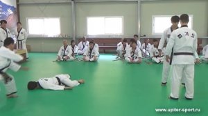 The Korean Master Hapkido Course 2015