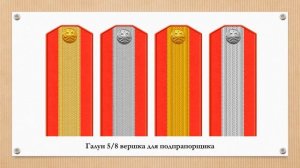 Типы галунов для чинов категории "подпрапорщик"