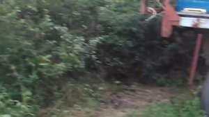 ПЧЕЛОВОДСТВО БЕДА НА ЭСПАРЦЕТЕ Секреты начинающим