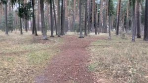 Просто медитативная прогулка по Кратово
