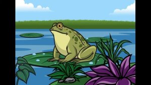 Лягушка и кулик. Слушать сказку.