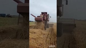 Уборка пшеницы 2023. Модернизация комбайна нива!