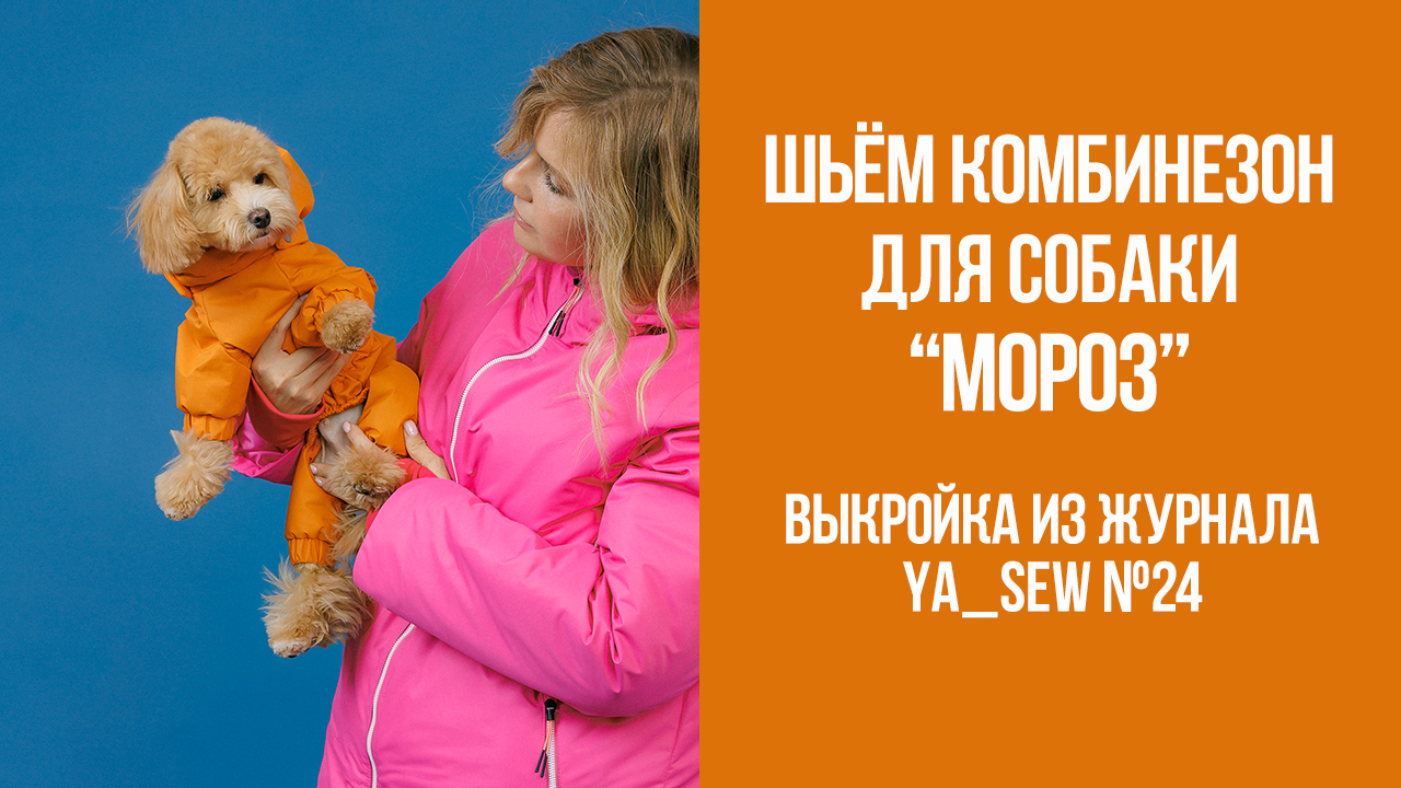 Комбинезон для собаки "МОРОЗ". Журнал Ya_Sew №24
