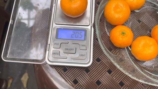 Мандарин Кишу Микан - маленькая вкусняшка .