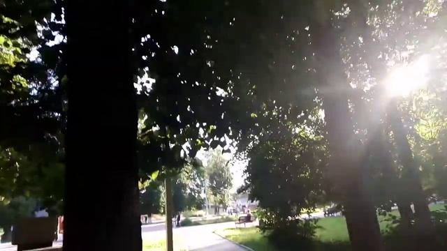 г. Узловая. Тульская обл. Парк железнодорожников.