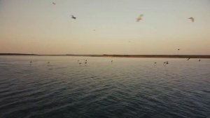 #Молочныйлиман. Краски лета. Мелитопольский район. Мелитополь.