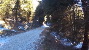 NISSAN X-TRAIL 4WD T32 Offroad Snow Test