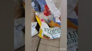 Уход за розами в начале мая.  Санитарная обрезка и подкормка роз.