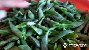 КАК ПРАВИЛЬНО ЗАМОРОЗИТЬ ЗЕЛЁНУЮ ФАСОЛЬ, проверенный годами способ/ԻՆՉՊԵՍ ՃԻՇՏ ՍԱՌԵՑՆԵԼ ԿԱՆԱՉ ԼՈԲԻ