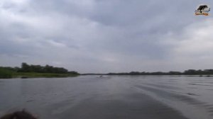 База "Полянка" 2021г