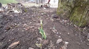 КАК СДЕЛАТЬ ДЖАКУЗИ В ОБЫЧНОЙ ВАННЕ