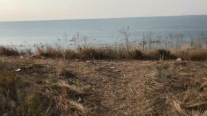 Крым село Каменское...2019 отдыхающие #крым #лето #море