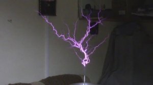 180. 8.9. Деревья и люди. 22.10.2021