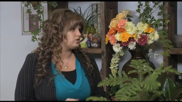 В мире цветов: Амариллис и Араукария смотреть онлайн