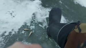 Первый лёд, открытие рыбалки.