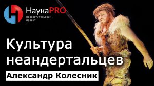 Культура неандертальцев, их разновидности и окружение – Александр Колесник | Лекции по археологии