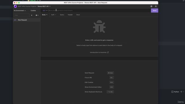 03 - Your first REST API - 006 How to interact with and test your REST API