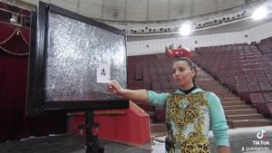 Выстрел в карту