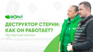 Как работает деструктор стерни? Экспертный анализ с Павлом Солосенковым