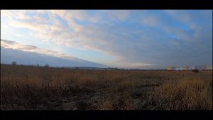 ПУЛКОВСКАЯ АВИАКАТАСТРОФА | РАЗВОРОТ ПО КРУГУ СМЕРТИ | ИЛ-18В БОРТ 75559