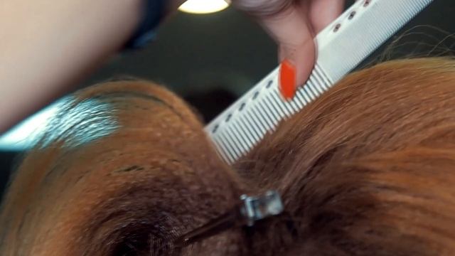 За кулисами парикмахерского шоу/Backstage женские прически смотреть онлайн