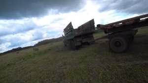 Сено как бизнес. Будет ли толк заходить в бизнес в 2022.