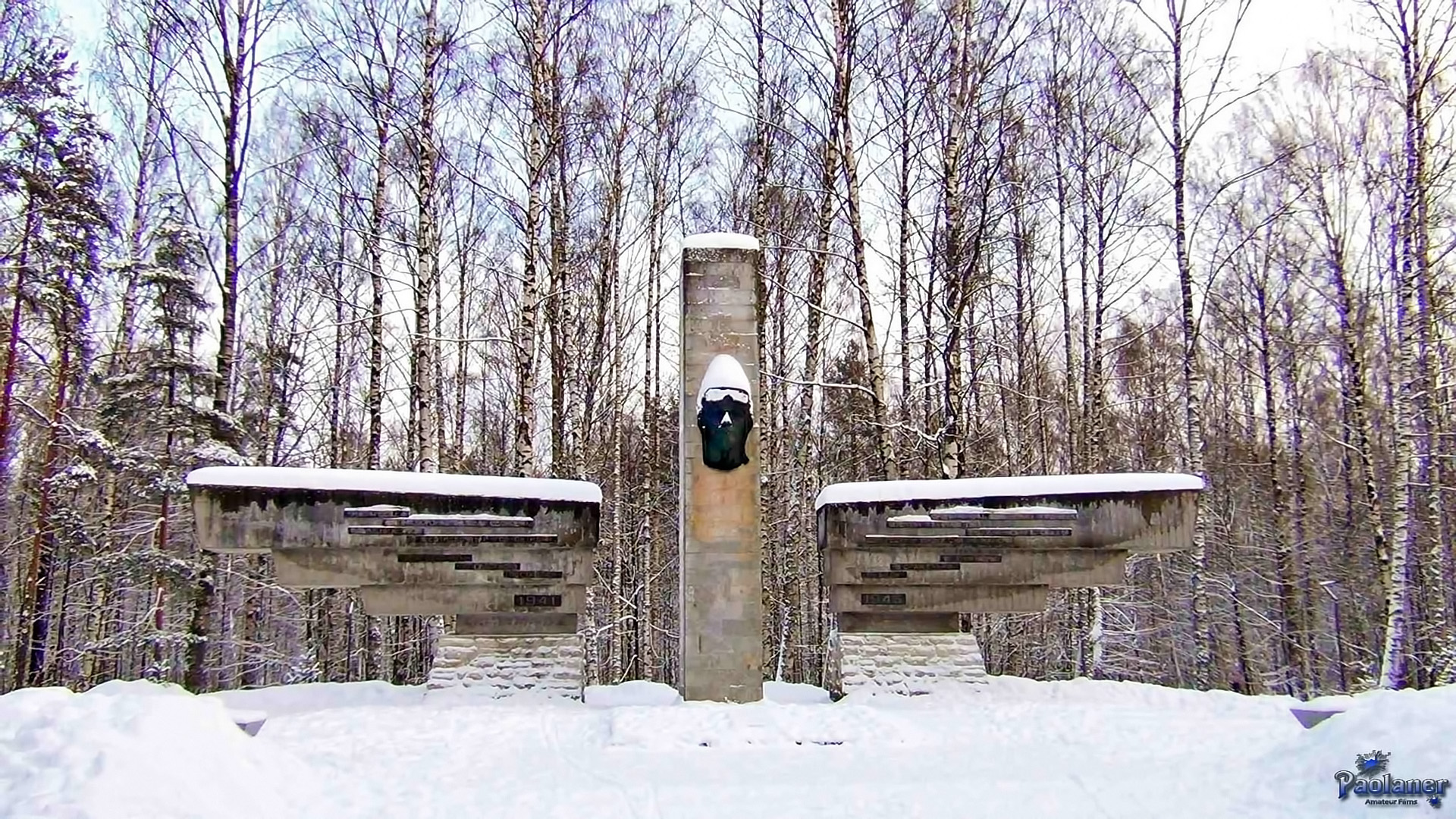 парк сосновка в санкт петербурге зимой