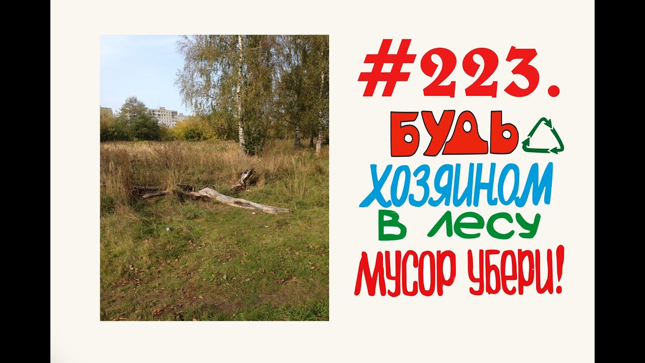 Очистка леса от мусора  #223 Орехово-Зуево.mp4