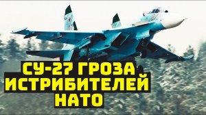 Старичок истребитель Су-27 всё ещё рвёт на портянки почти все самолёты НАТО видео