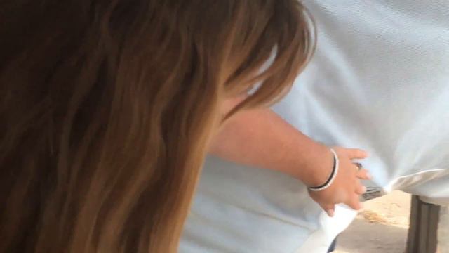 Horseware Rambo Summer Series смотреть онлайн