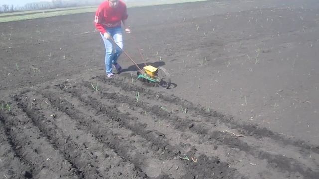 Ручная сеялка в работе. Настройка, как сеять.