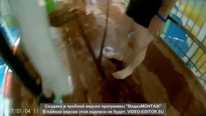 поход в аквапарк аквамарин в Сургуте