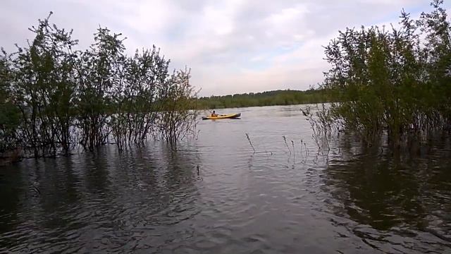 Шуя 2. По р. Томь смотреть онлайн