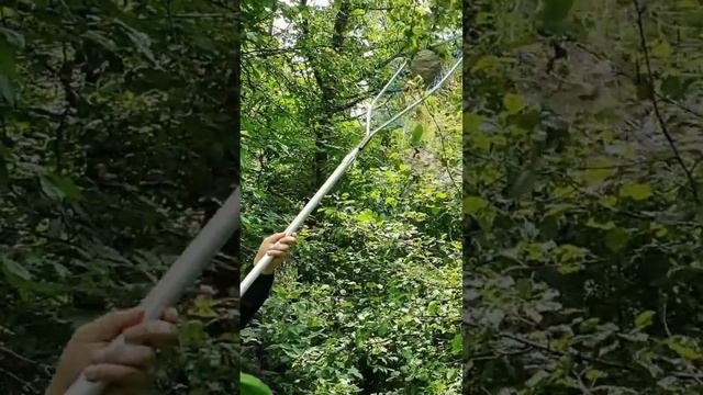 Еда для выживания - дикие осы смотреть онлайн