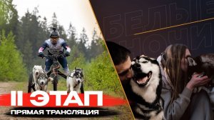 ДЕНЬ 2 | ПРЯМАЯ ТРАНСЛЯЦИЯ | БЕЛЫЕ НОЧИ |Второй этап кубка России по ездовому спорту
