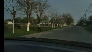 Небольшая прогулка в Кочкор-Ата.