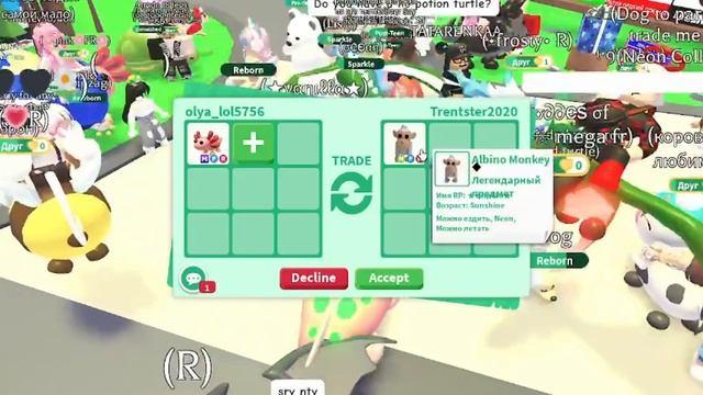 ЧТО ДАЮТ ЗА МЕГА НЕОН АКСОЛОТЛЯ. ТОП ТРЕЙДЫ. КОНКУРС В АДОПТ МИ РОБЛОКС adopt me roblox смотреть онлайн