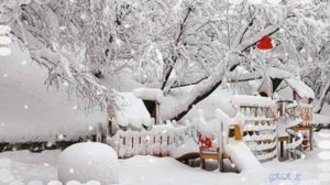 ЗА ОКНОМ ПУШИСТЫЙ СНЕГ Слова С СОКОЛОВ Музыка и Исполнение М ОСИПОВ Монтаж Г ЗНАМЕНСКАЯ