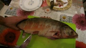 Тест ножа из стали х12МФ при разделке рыбы. Нож ТАРАН. Отзыв клиента.