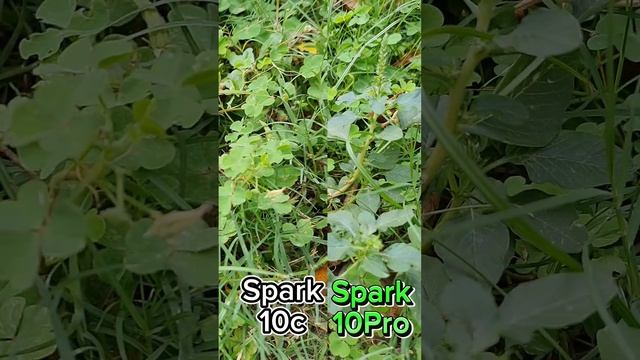 Tecno Spark 10c 10MP Wide Vs Tecno Spark 10 Pro 50MP Wide Camera Test