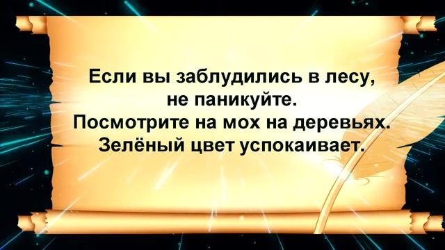 Рассмеши смешного! Анекдоты, юмор до слез. Часть 2 смотреть онлайн