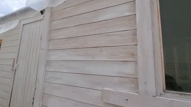 Заказываем зерно| нужен кондиционер | огород травницы .